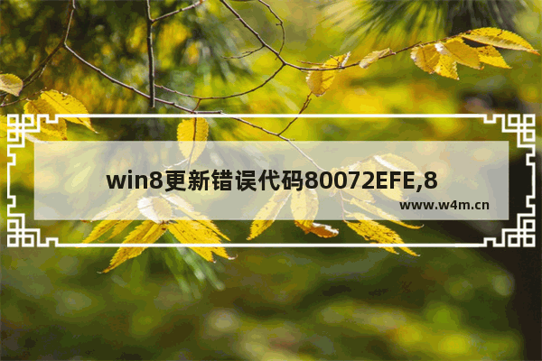 win8更新错误代码80072EFE,80092004更新错误 win7