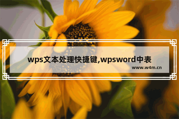 wps文本处理快捷键,wpsword中表格文字格式设置