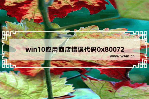 win10应用商店错误代码0x80072ee7,win10商店下载错误0x80073D0A