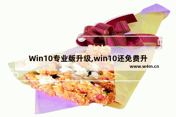 Win10专业版升级,win10还免费升级吗