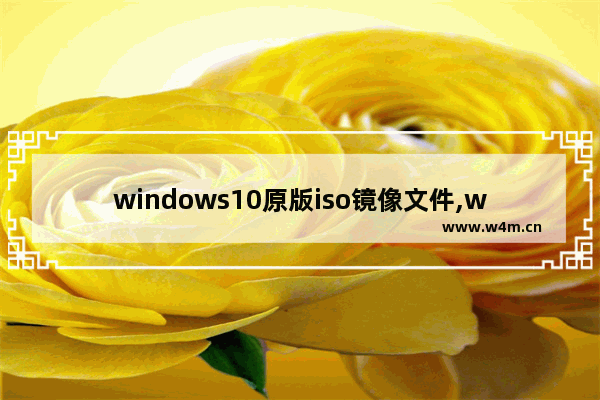 windows10原版iso镜像文件,win10 iso原版镜像