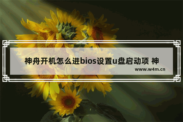 神舟开机怎么进bios设置u盘启动项 神舟电脑如何设置U盘启动项