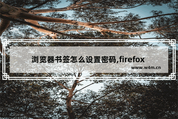 浏览器书签怎么设置密码,firefox 导入书签