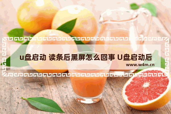 u盘启动 读条后黑屏怎么回事 U盘启动后黑屏，解决方法