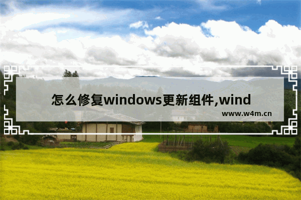 怎么修复windows更新组件,windows update 无法更新