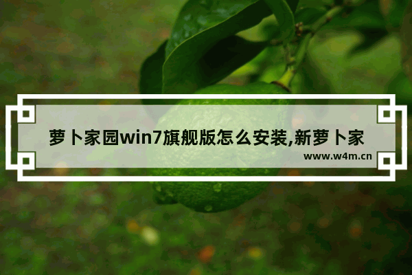 萝卜家园win7旗舰版怎么安装,新萝卜家园光盘win7安装教程