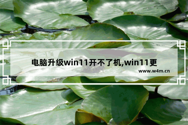 电脑升级win11开不了机,win11更新后无法开机