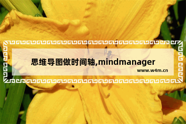 思维导图做时间轴,mindmanager思维导图教程