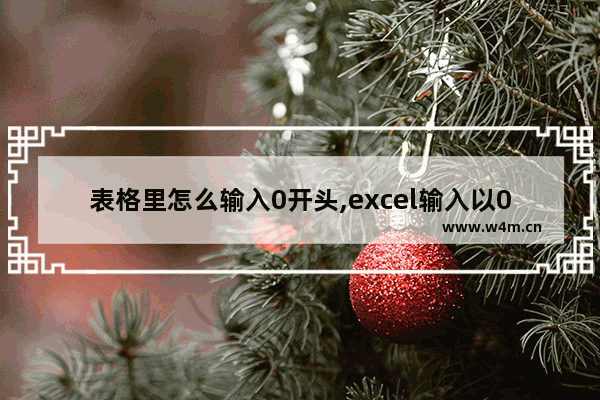 表格里怎么输入0开头,excel输入以0开头的数字