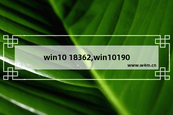 win10 18362,win101909更新20h2