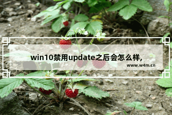 win10禁用update之后会怎么样,Windows Update Assistant