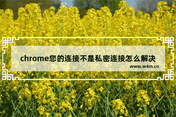 chrome您的连接不是私密连接怎么解决,chrome隐私