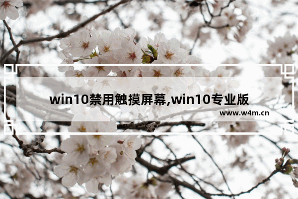 win10禁用触摸屏幕,win10专业版怎么禁用触摸板