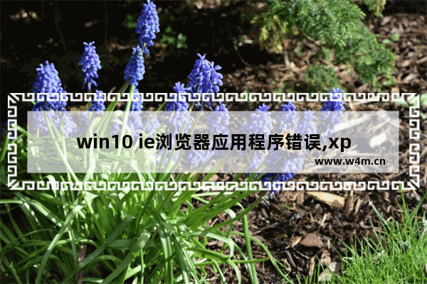 win10 ie浏览器应用程序错误,xp系统iexplore.exe应用程序错误怎么办