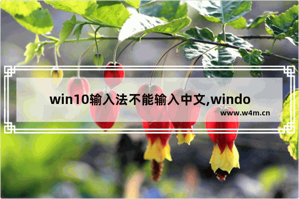 win10输入法不能输入中文,window10输入法只能英文