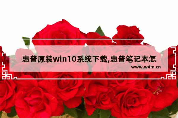 惠普原装win10系统下载,惠普笔记本怎样安装windows系统