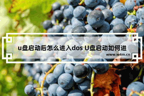 u盘启动后怎么进入dos U盘启动如何进入DOS