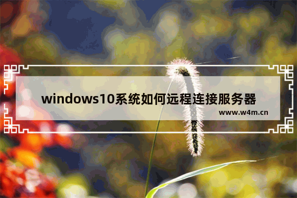 windows10系统如何远程连接服务器,如何远程windows系统服务器