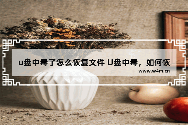 u盘中毒了怎么恢复文件 U盘中毒，如何恢复文件