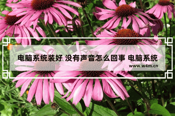 电脑系统装好 没有声音怎么回事 电脑系统安装后无声音，问题出在哪？