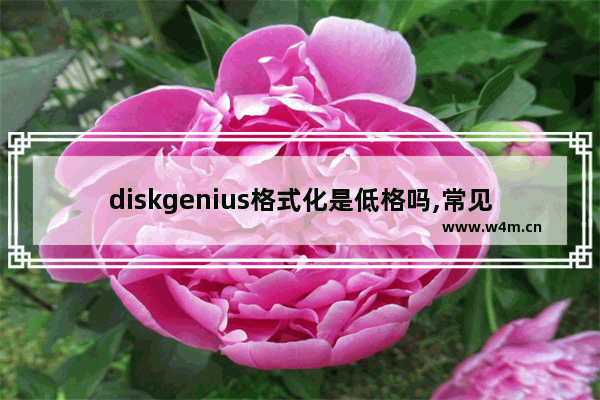 diskgenius格式化是低格吗,常见硬盘低级格式化的方法