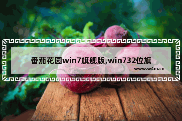 番茄花园win7旗舰版,win732位旗舰版下载