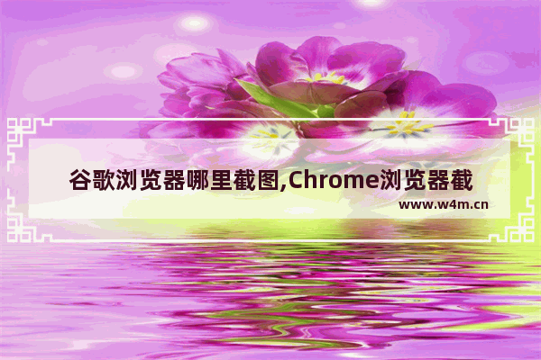 谷歌浏览器哪里截图,Chrome浏览器截图