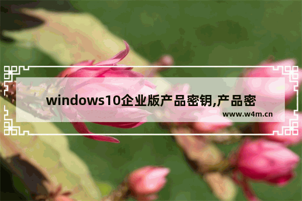 windows10企业版产品密钥,产品密钥win10企业版2016长期服务版