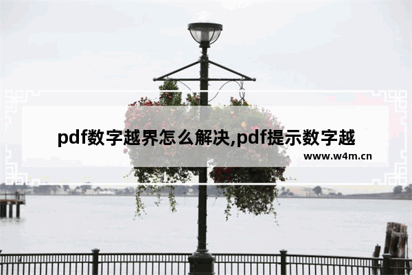 pdf数字越界怎么解决,pdf提示数字越界