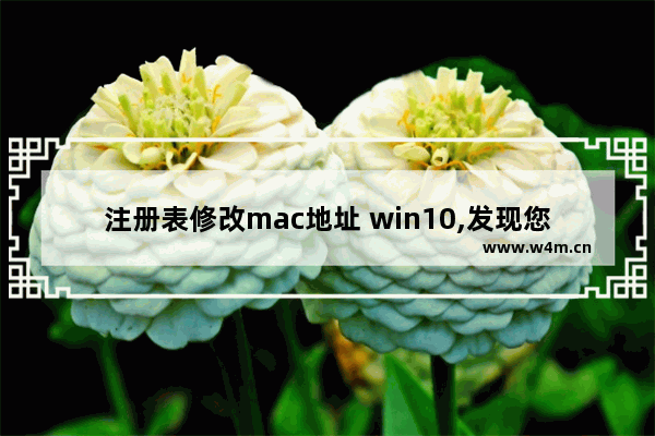 注册表修改mac地址 win10,发现您修改了mac地址,请删除注册表对应项