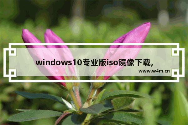 windows10专业版iso镜像下载,win10安装版iso镜像