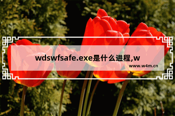 wdswfsafe.exe是什么进程,windrv.exe病毒