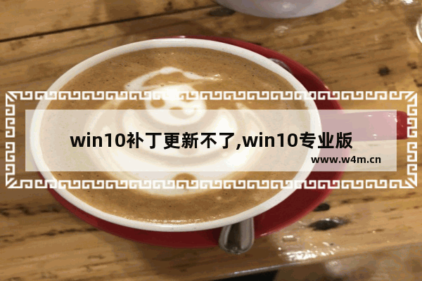 win10补丁更新不了,win10专业版怎么更新驱动