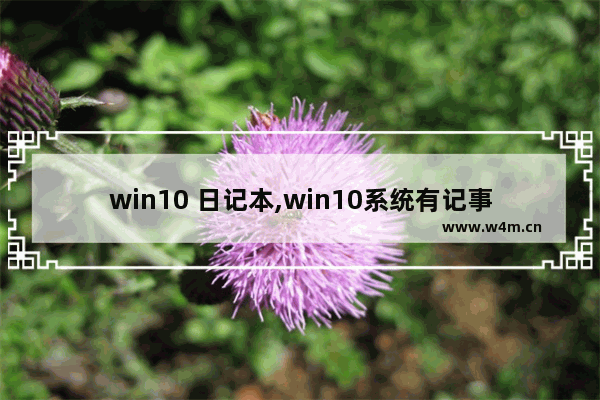 win10 日记本,win10系统有记事本吗