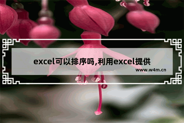 excel可以排序吗,利用excel提供的排序功能