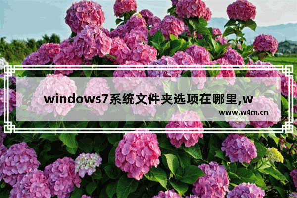 windows7系统文件夹选项在哪里,win7文件夹选项在哪个菜单