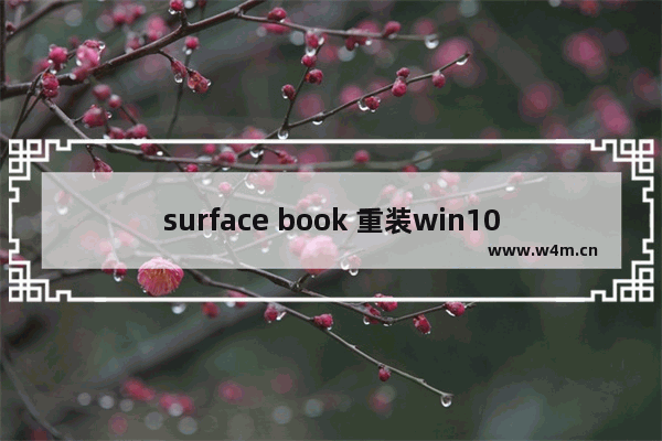 surface book 重装win10,surface pro装win10