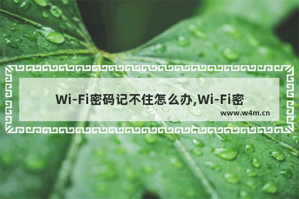 Wi-Fi密码记不住怎么办,Wi-Fi密码忘记怎么办-