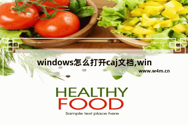 windows怎么打开caj文档,window10caj文件怎么打开_1