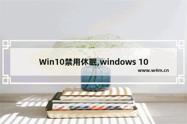 Win10禁用休眠,windows 10启用或禁用休眠