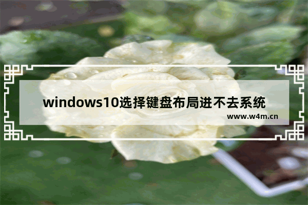 windows10选择键盘布局进不去系统,windows10启动选择键盘布局