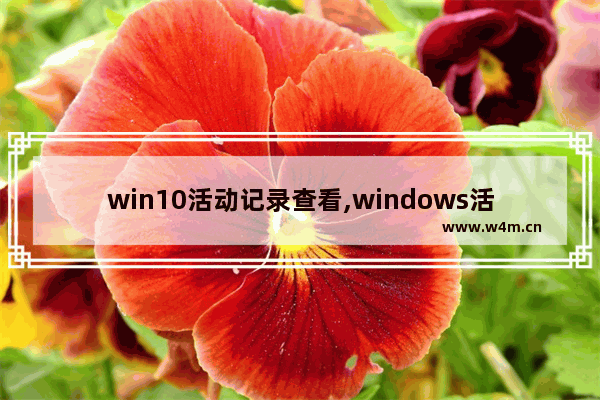 win10活动记录查看,windows活动历史记录