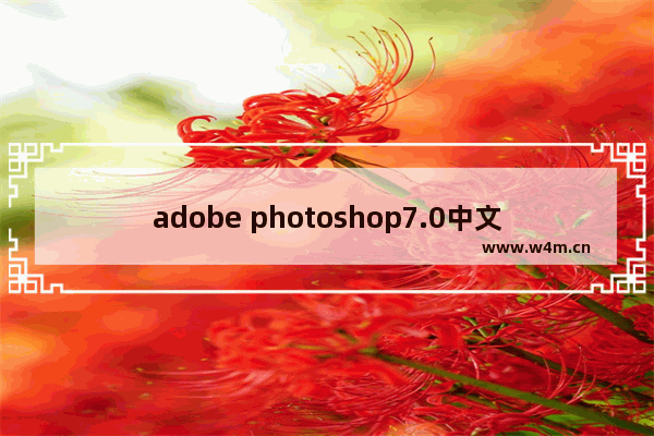 adobe photoshop7.0中文版,Adobe Photoshop 7.0