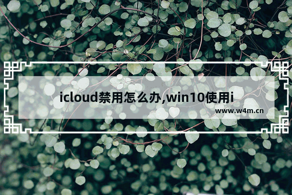 icloud禁用怎么办,win10使用icloud