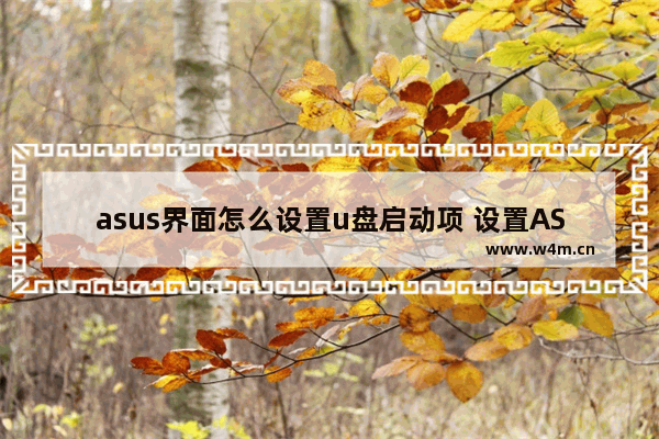 asus界面怎么设置u盘启动项 设置ASUS电脑U盘启动项