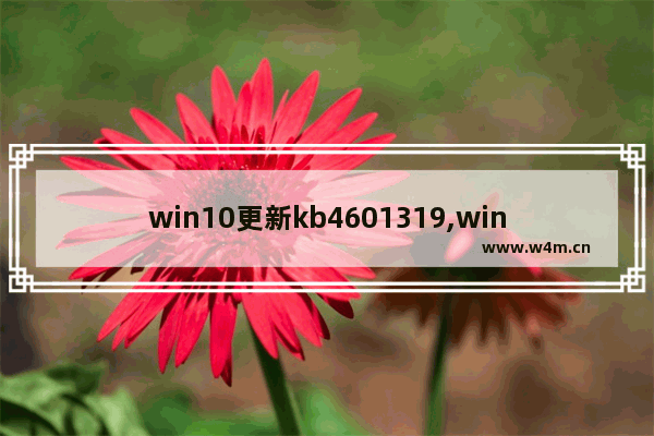 win10更新kb4601319,win10更新kb4601382_4