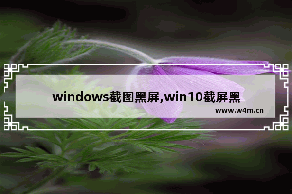 windows截图黑屏,win10截屏黑色