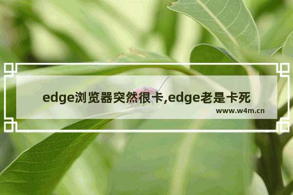 edge浏览器突然很卡,edge老是卡死