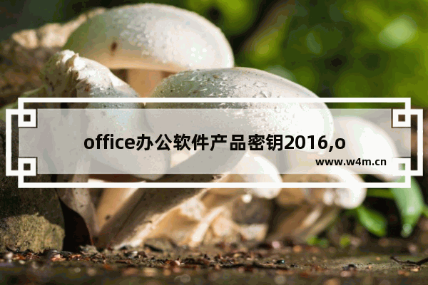 office办公软件产品密钥2016,office办公软件2016怎么激活