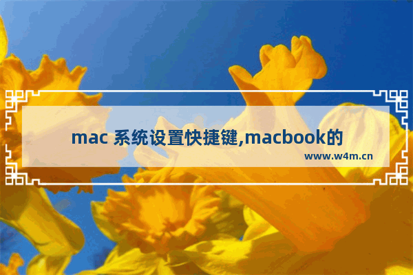 mac 系统设置快捷键,macbook的快捷键设置在哪里设置